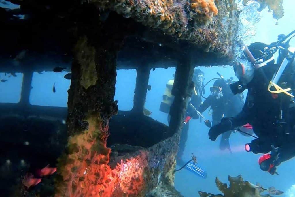 scuba divers looking inside the canterbury wreck in new zealand