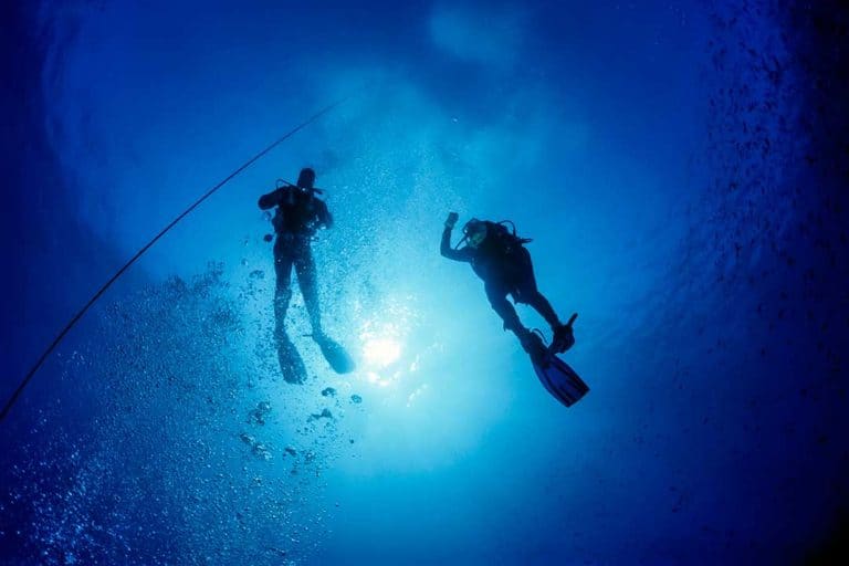 diver ascending next to his dive buddy