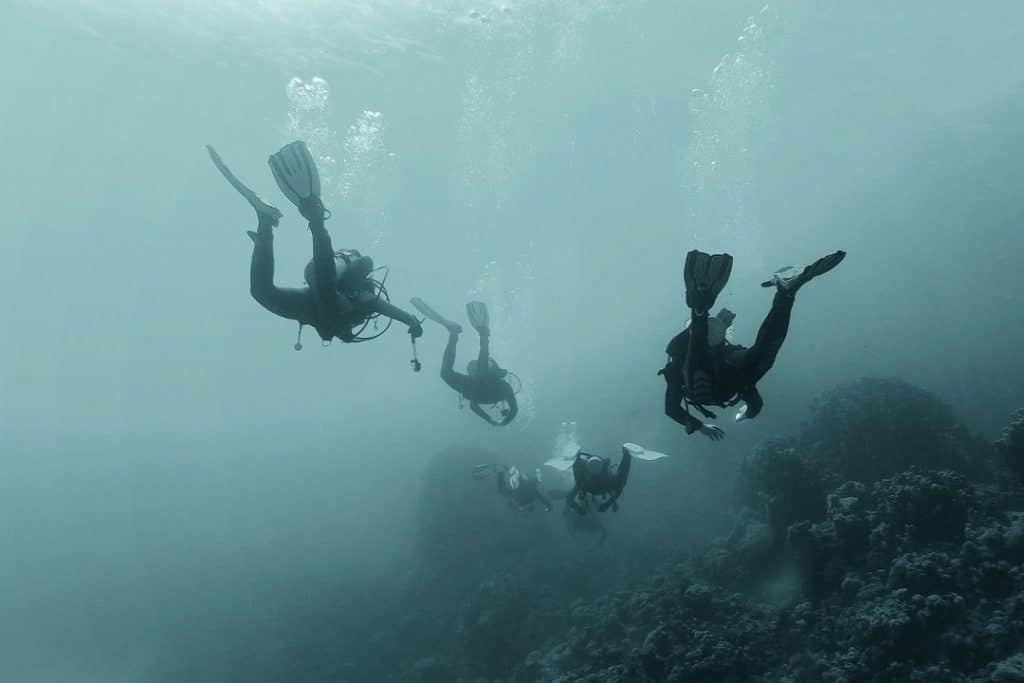 group of scuba divers in cold water