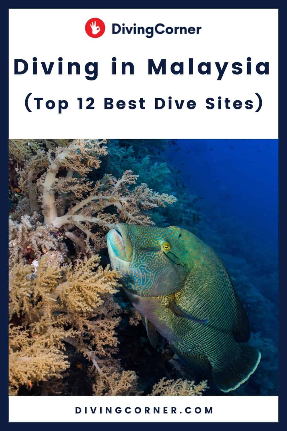 Scuba Diving in Malaysia (Top 12 Best Dive Sites) - DivingCorner