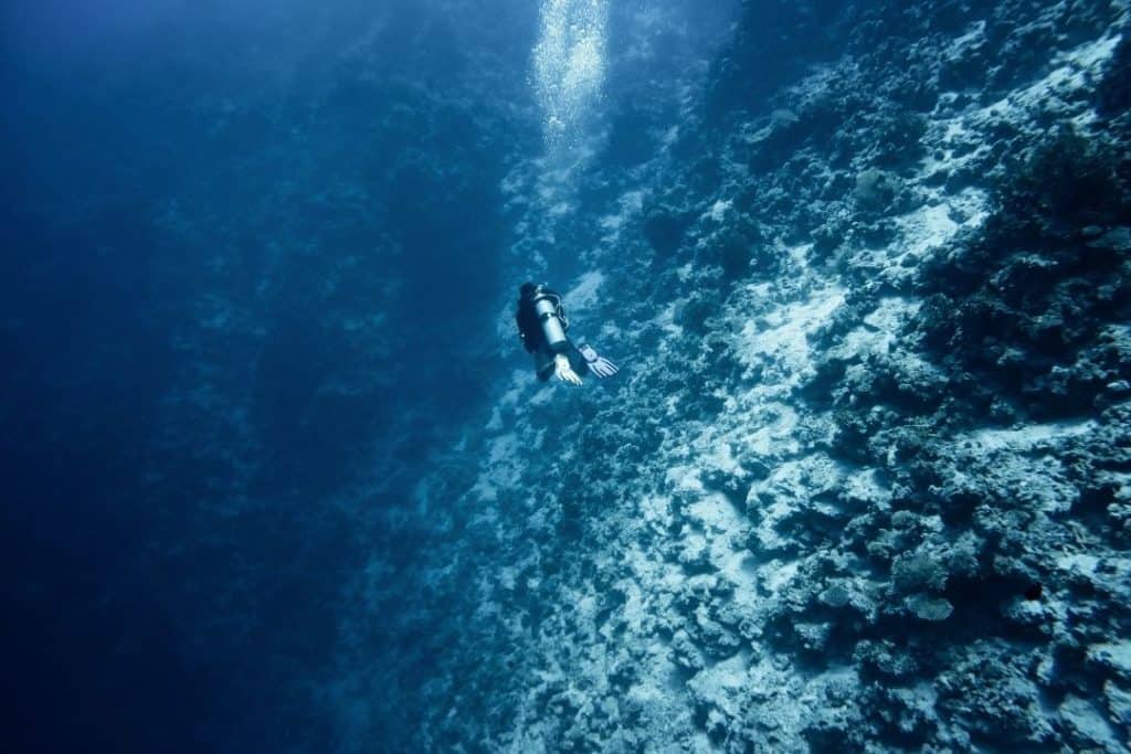 scuba diver above a reef