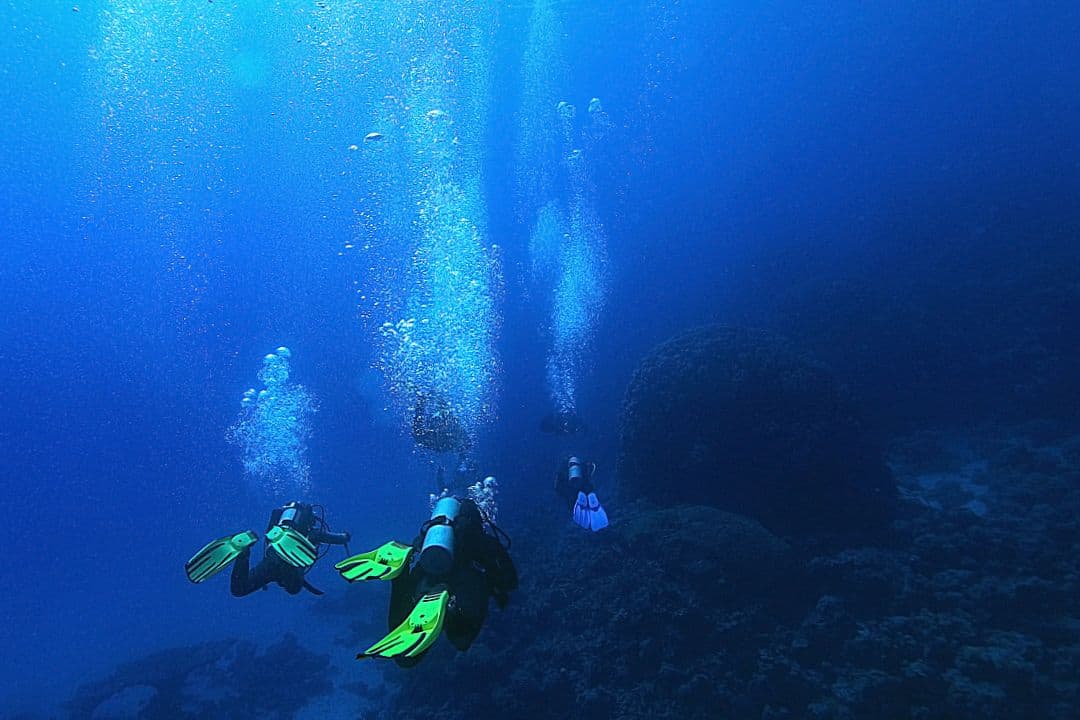 scuba divers at depth