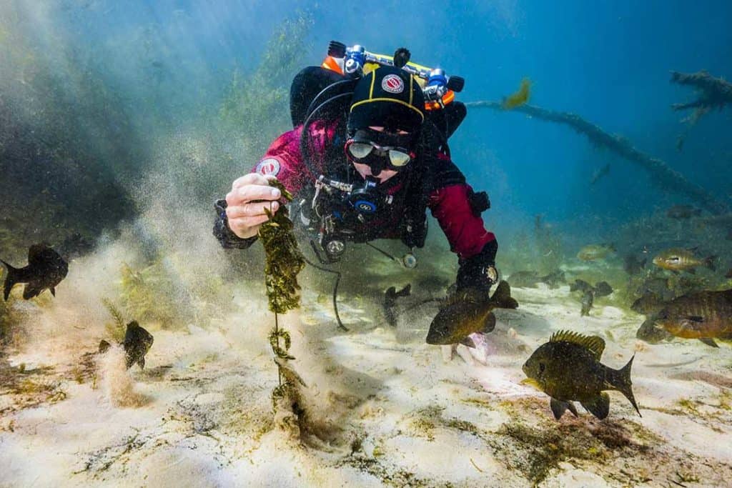 scuba diver in spring lake, texas